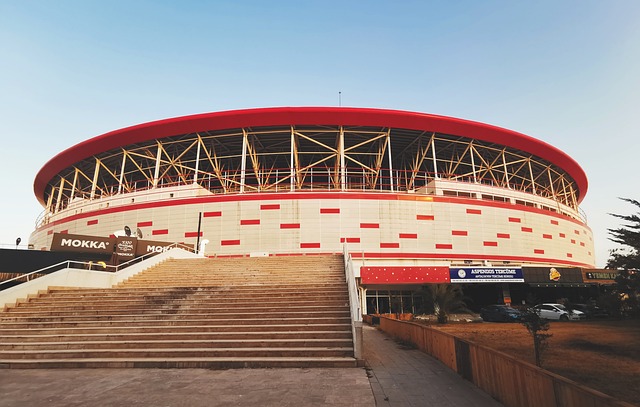 球队不仅需 球队不仅需