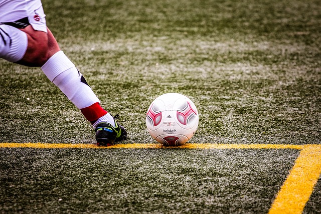 巴西贪婪助 巴西贪婪助