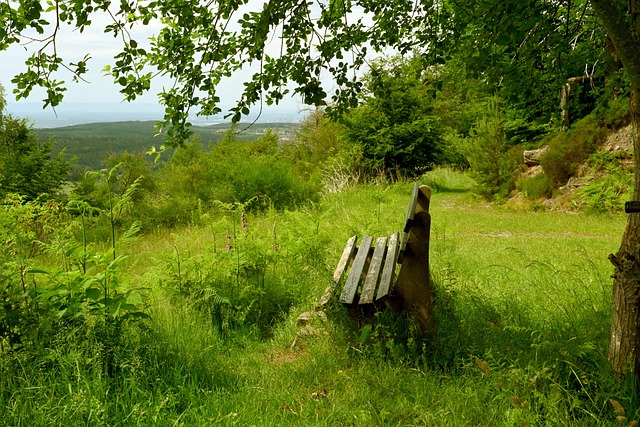 无疑是背后 无疑是背后