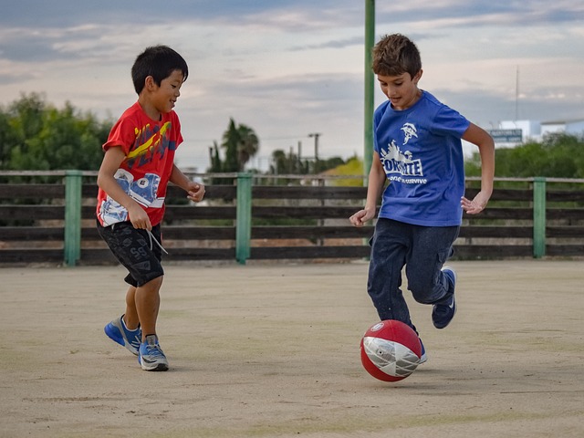 部赛区的激 部赛区的激