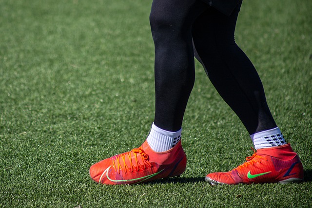 通过引入先 通过引入先