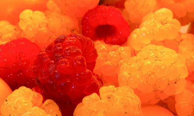 的谈判似乎 的谈判似乎